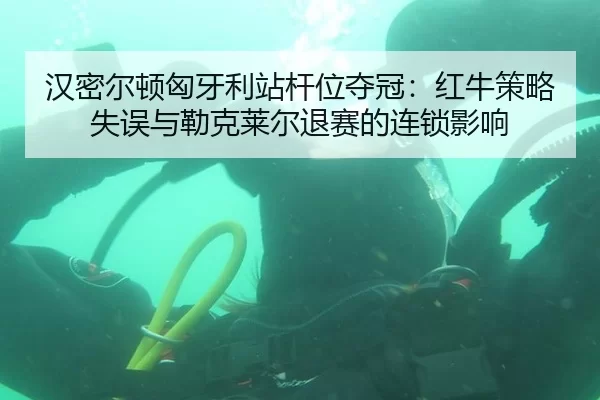 han-mi-er-dun-xiong-ya-li-zhan-gan-wei-duo-guan-hong-niu-ce-lve-shi-wu-yu-lei-ke-lai-er-tui-sai-de-lian-suo-ying-xiang-2-276.jpg
